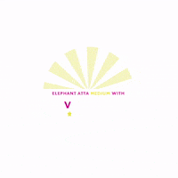 ElephantAttaofficial pink cooking sunshine sunny GIF