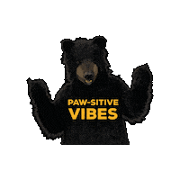 Fun Vibes Sticker by BlackBearDiner