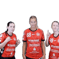 Handball Sticker by Hollenstedt-Handball