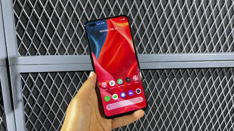 nandiniy giphyupload GIF