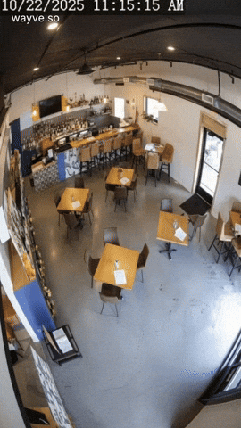 Mood Feels GIF by Darwin