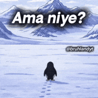 But Why GIF