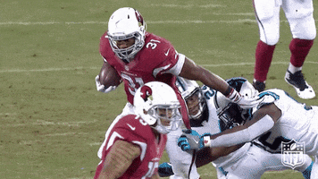 Arizona Cardinals Football GIF by NFL