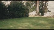 Dakota Johnson Comedy GIF by NEON