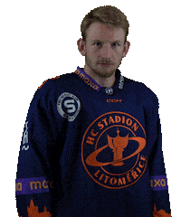 Sport Hokej Sticker by HCSTADION
