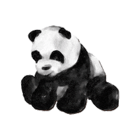 MarieWelke3 panda pandabear Sticker