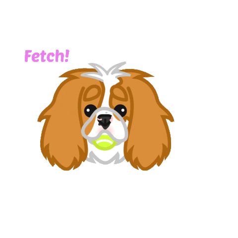 Cavaliers Sticker