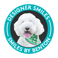 bracesbybenton teddy braces invisalign bracesbybenton Sticker