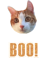 Cat Boo Sticker