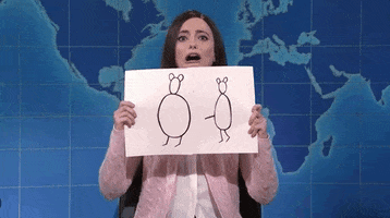 Snl GIF by Saturday Night Live