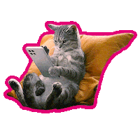 Cat Me Time Sticker by Deutsche Telekom
