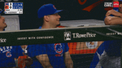 Chicago Cubs Baseball GIF