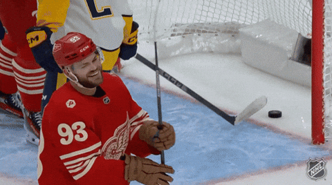 Happy National Hockey League GIF by NHL
