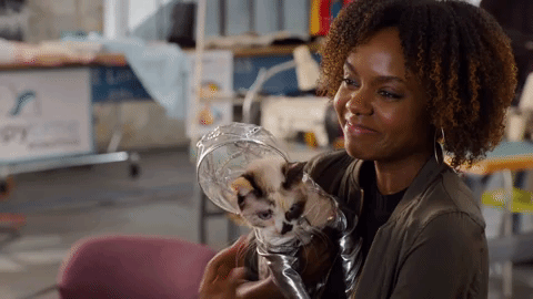 episode 1 abc GIF by Alex, Inc.