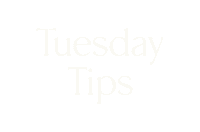 Tuesday Tips Sticker by Wildings Studio