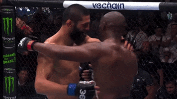 Mixed Martial Arts Sport GIF by UFC