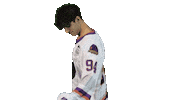 Hockey Nod Sticker by Youngstown Phantoms