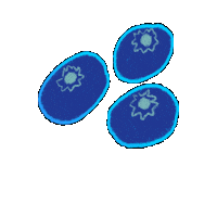 MidwestHouse blue fruit farm fruits Sticker