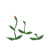 Flower Grow Sticker