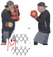 Punching Gloves Sticker by MMADen