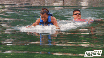 Dolphin Ride