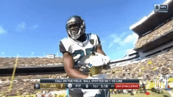 Jacksonville Jaguars Football GIF by NFL