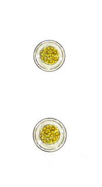 Boh_Edizioni boh edizioni bohedizioni carte da gioco le bolognesi Sticker