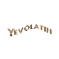 YEVOLATIN dj yoyo sanchez yoyo sanchez yevolatin yevolatinfitness Sticker