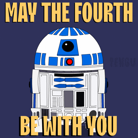 May The Fourth Penguin GIF by Pudgy Penguins