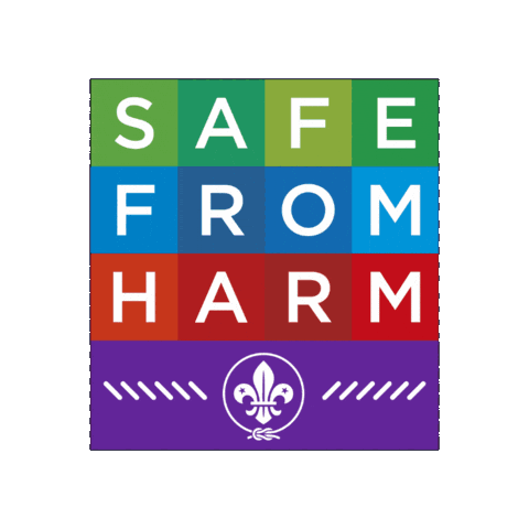 Scout Sticker by World Scouting