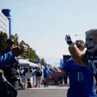Byu Football GIF by BYU Cougars
