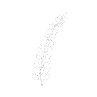 Planta Sticker