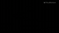 Colorful Liquid Logo Animation