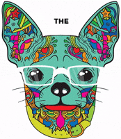 thenaturalvetsmx acupuntura tnv naturalvets natuvets thenaturalvets homeopatia veterinaria fisioterapia GIF