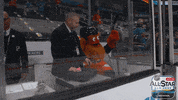 ice hockey sport GIF by NHL