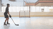 Anaheim Ducks Fun GIF by The Rinks