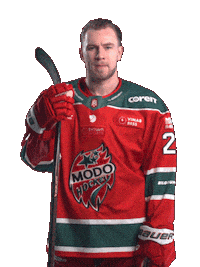 Hockeyallsvenskan Sticker by MoDo Hockey