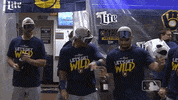 Major League Baseball Dancing GIF by MLB