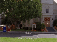 season 3 netflix GIF by Gilmore Girls 