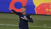 bundesliga love GIF by Hertha BSC