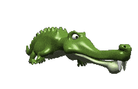 alligator STICKER
