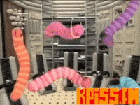 GIF by KPISS.FM