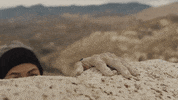 Ride GIF by Harley-Davidson