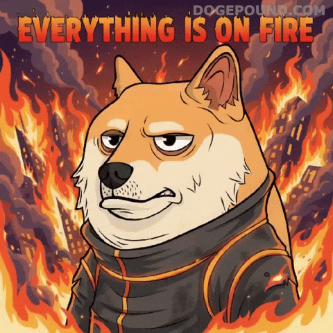 Burning Oh No GIF by Doge Pound