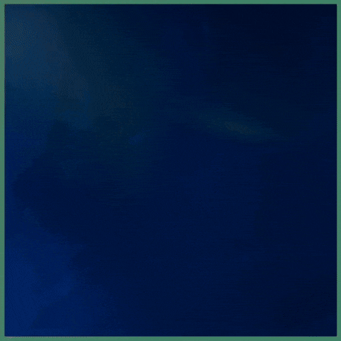 Beard Care GIF by THE BEARD STRUGGLE