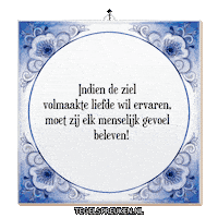 Respect Nl Sticker by Tegelspreuken.nl