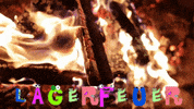 jugendleiter fire camp campfire jugendarbeit GIF