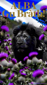 Made In Canada Bagpipes GIF by TresorsDuMonde.ca