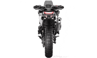 Trydeal Tail Tidy GIF by 007Plate.com