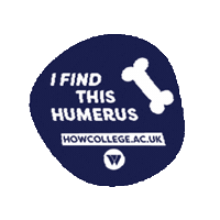 Health Socialwork Sticker by HoW College
